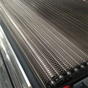 创新冷冻解决方案：网带式速冻隧道，食品加工行业的未来趋势